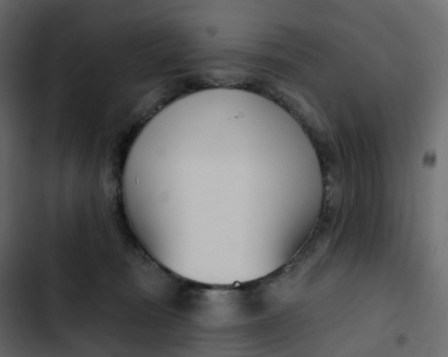 X0000102870371200809021453