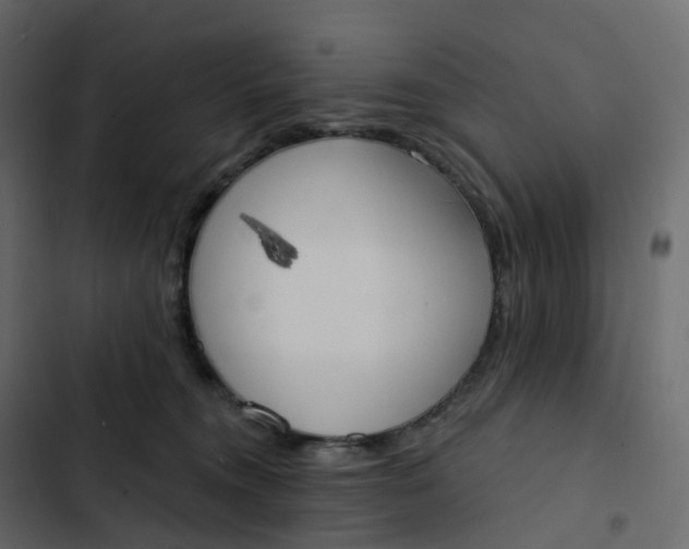 X0000102870372200809021453