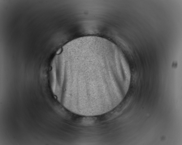 X0000102870373200809021453