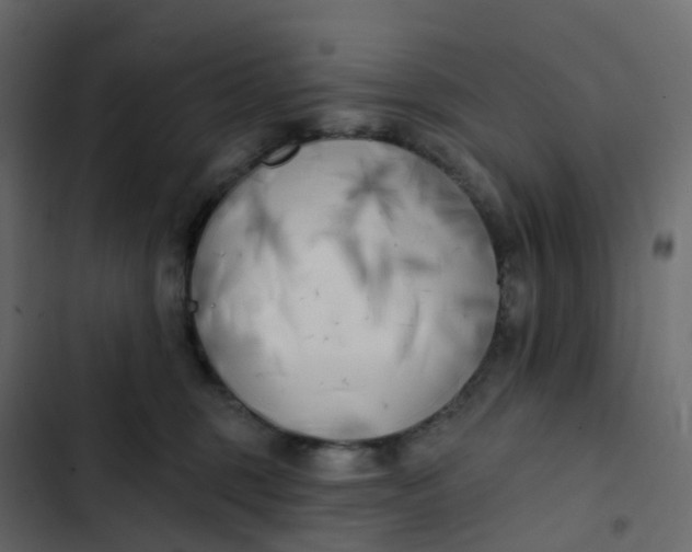 X0000102870375200809021453