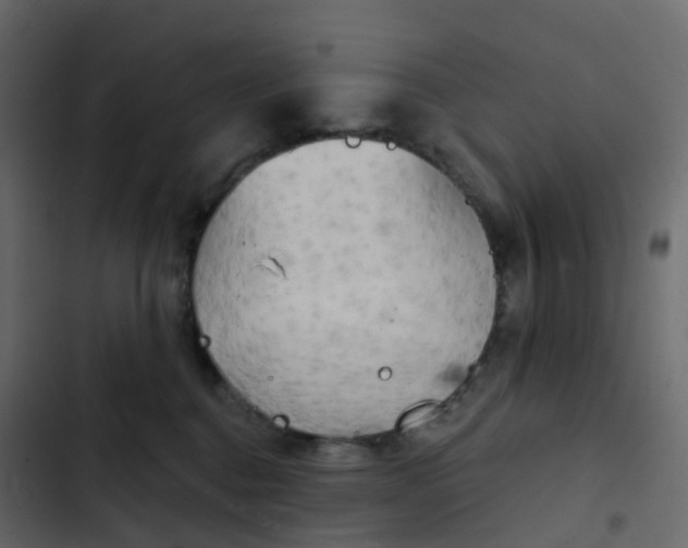 X0000102870376200809021453