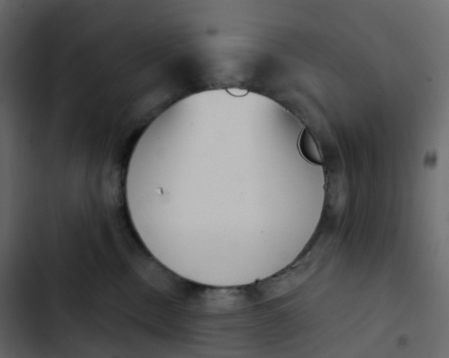 X0000102870378200809021453