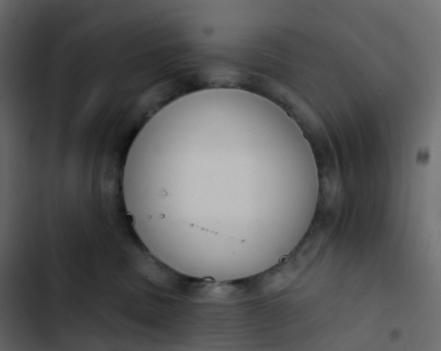 X0000102870379200809021453