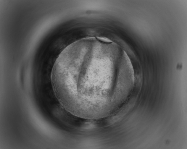 X0000102870381200809021453