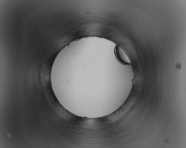 X0000102870382200809021453