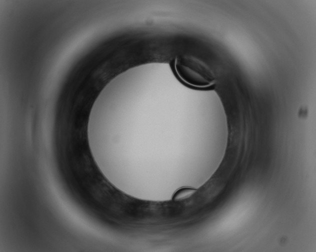 X0000102870383200809021453