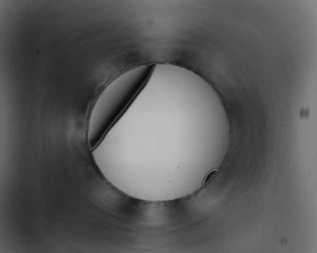 X0000102870384200809021453