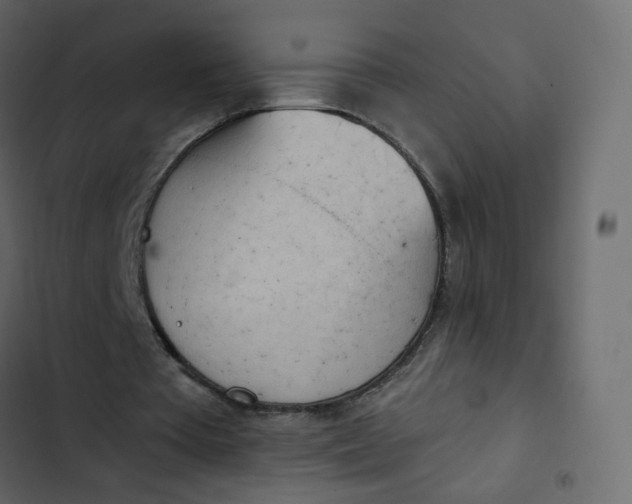 X0000102870385200809021452