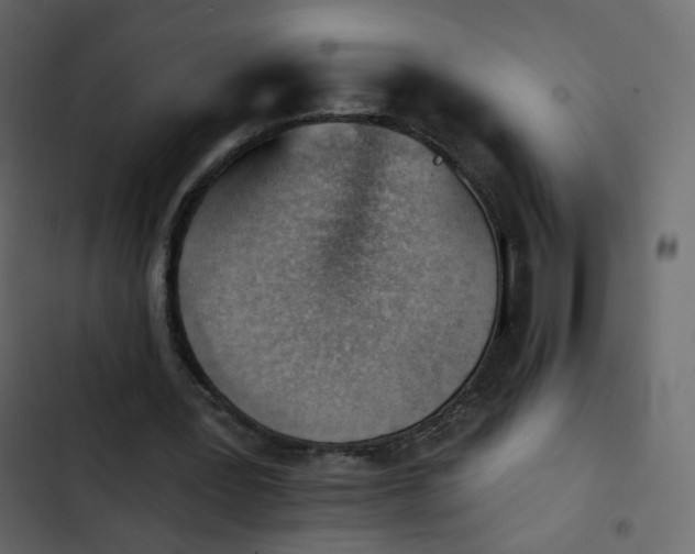 X0000102870387200809021452