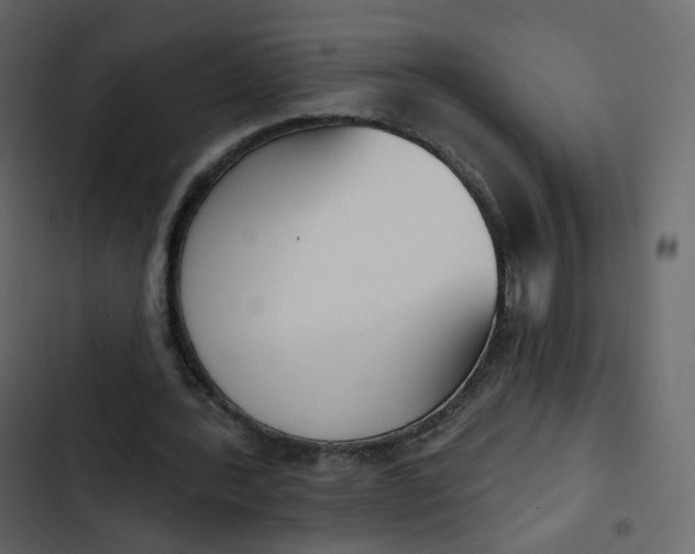 X0000102870388200809021452