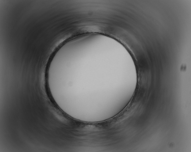 X0000102870390200809021452