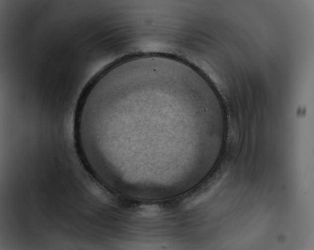 X0000102870391200809021452