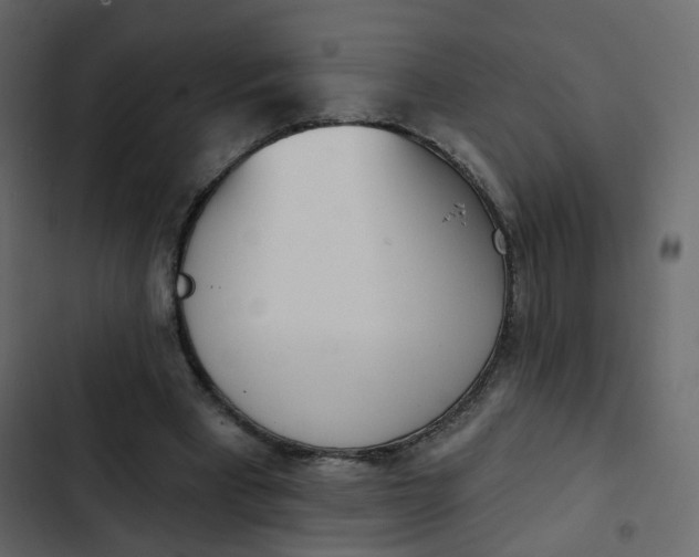 X0000102870393200809021452