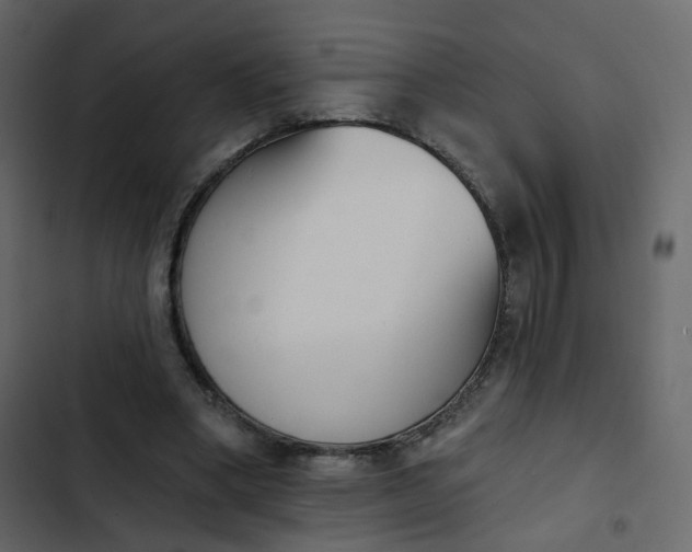 X0000102870394200809021452