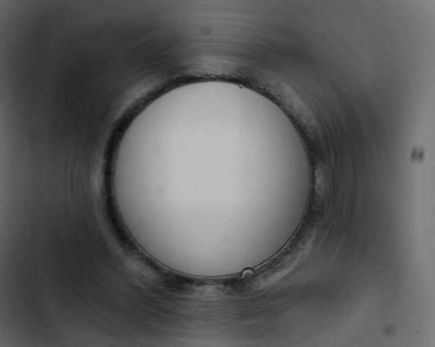 X0000102870396200809021452