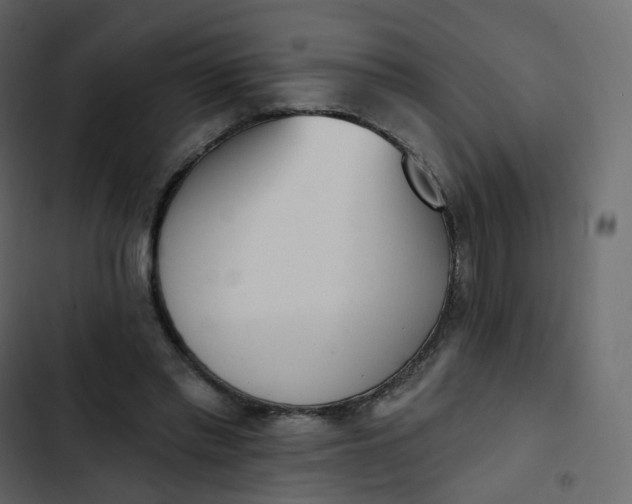 X0000102870397200809021452