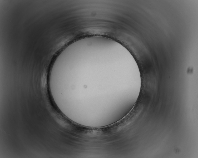 X0000102870398200809021452