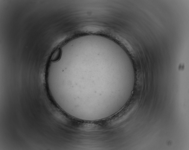 X0000102870399200809021452