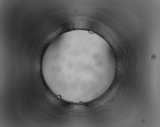 X0000102870401200809021452