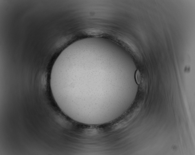 X0000102870404200809021452