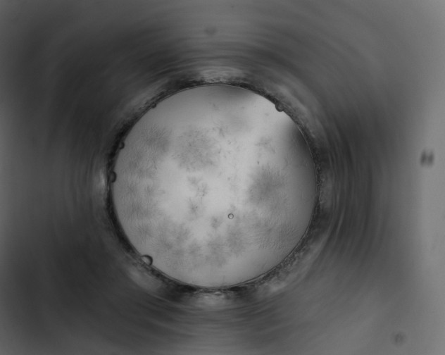 X0000102870405200809021452