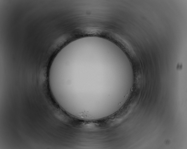 X0000102870407200809021452