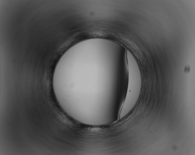 X0000102870409200809021452