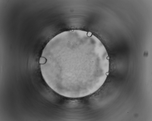 X0000102870411200809021452