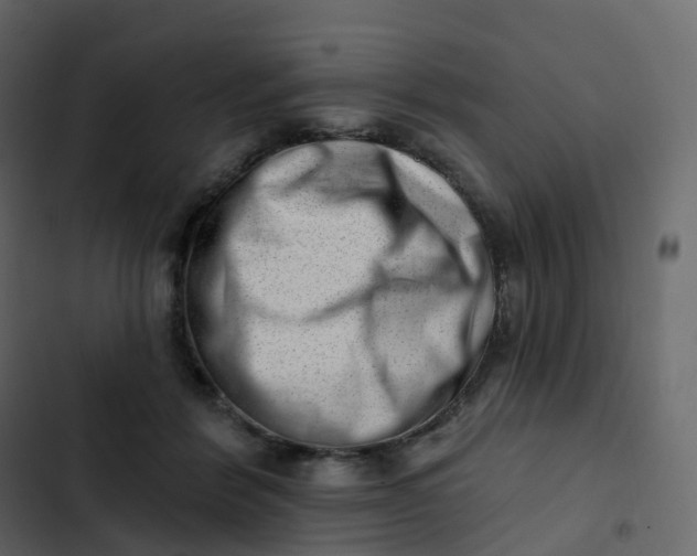 X0000102870412200809021452