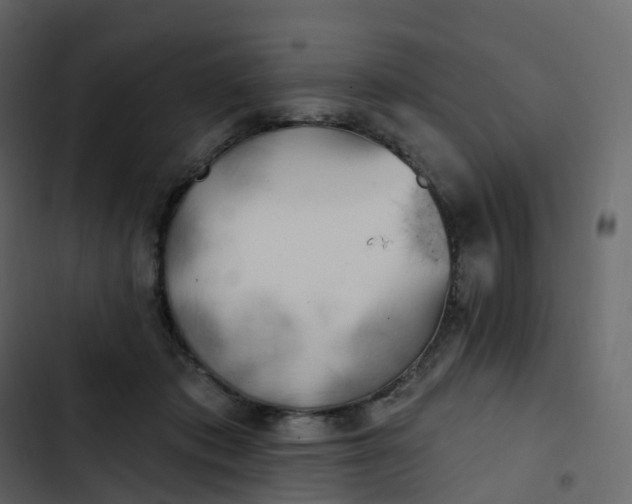 X0000102870413200809021452