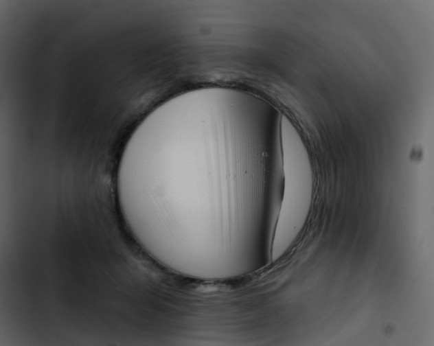 X0000102870415200809021452