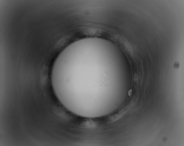 X0000102870416200809021452