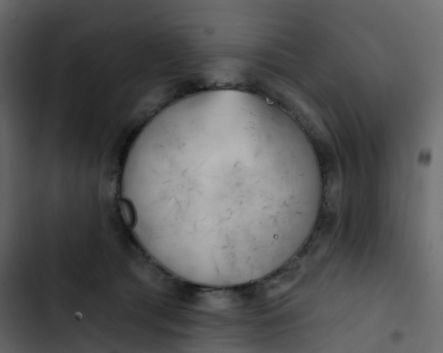 X0000102870417200809021452