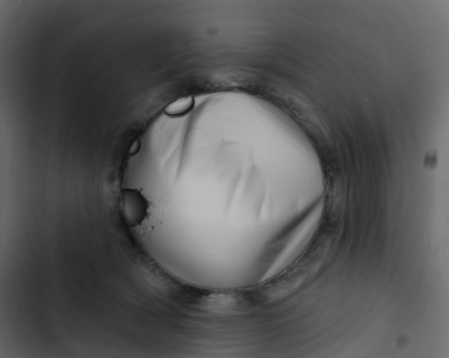 X0000102870418200809021452