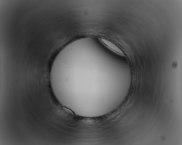 X0000102870419200809021452