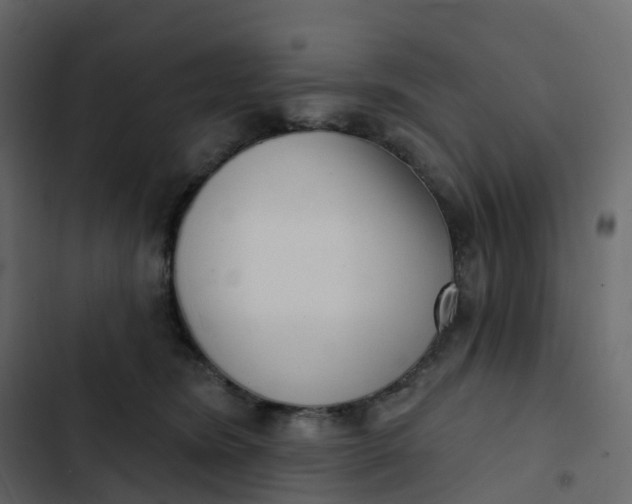 X0000102870420200809021452