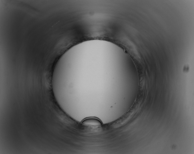 X0000102870421200809021452