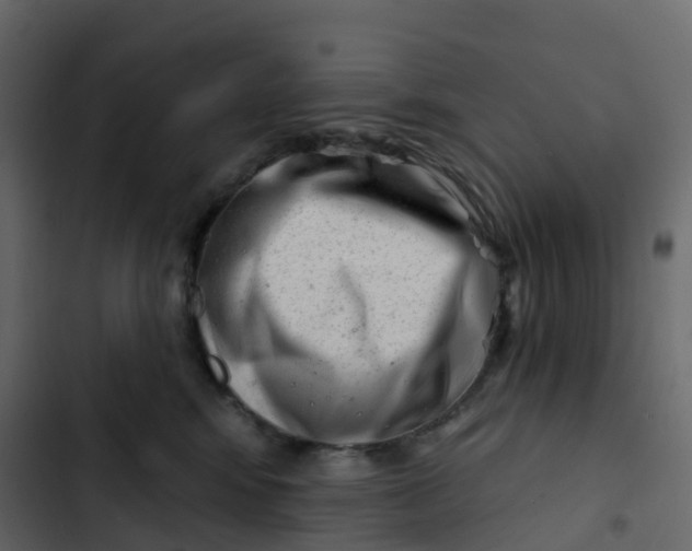 X0000102870424200809021452