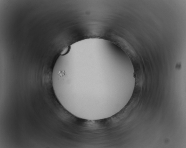 X0000102870425200809021452