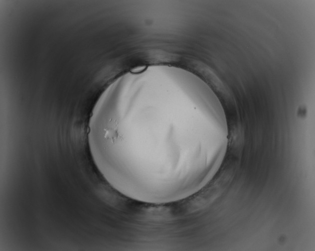 X0000102870426200809021452