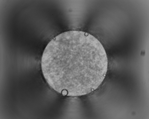 X0000102870427200809021452