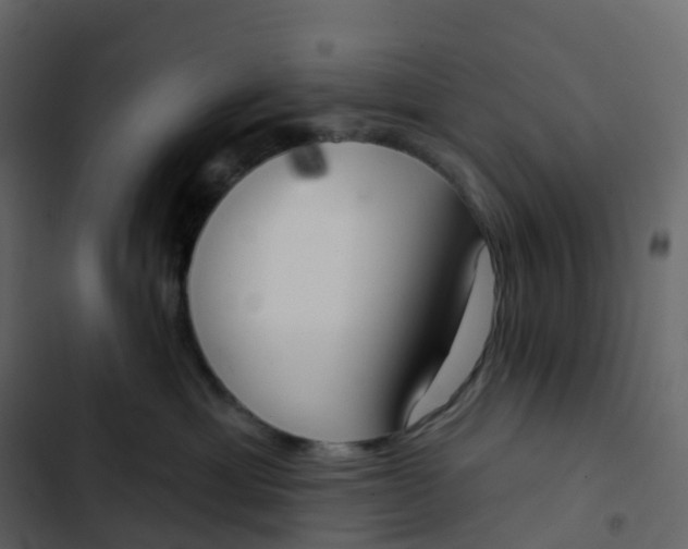 X0000102870429200809021452