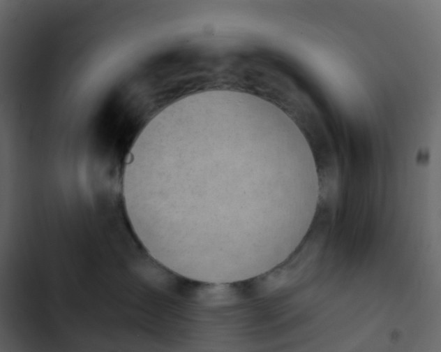 X0000102870431200809021452