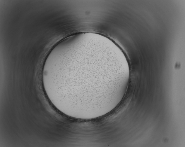 X0000102870433200809021451