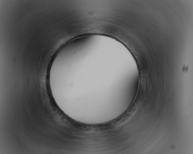 X0000102870434200809021451