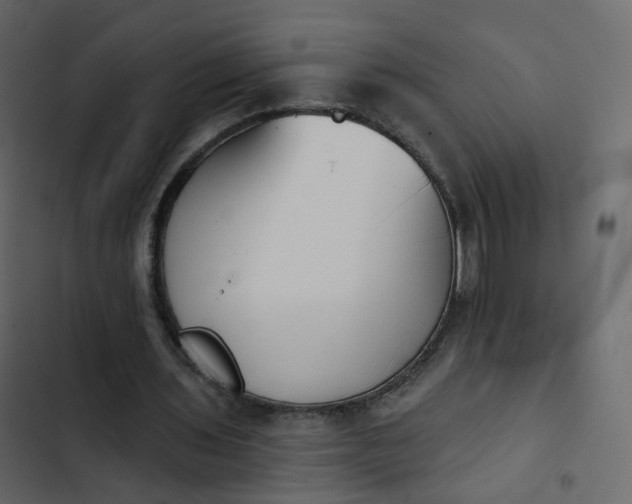 X0000102870435200809021451