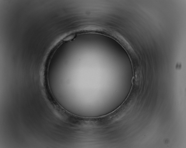 X0000102870436200809021451