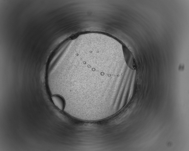 X0000102870437200809021451