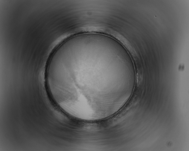 X0000102870438200809021451