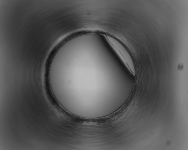 X0000102870440200809021451